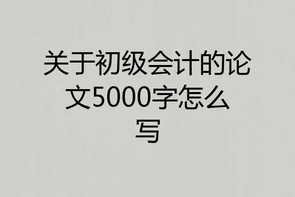 关于初级会计的论文5000字怎么写