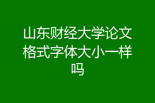 山东财经大学论文格式字体大小一样吗