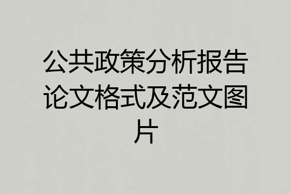公共政策分析报告论文格式及范文图片