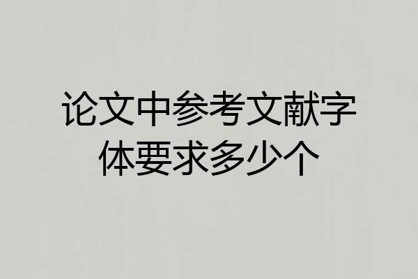 论文中参考文献字体要求多少个