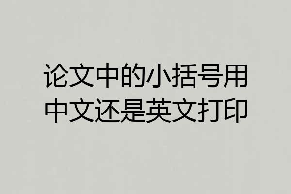 论文中的小括号用中文还是英文打印