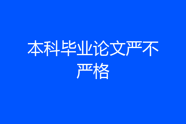 本科毕业论文严不严格