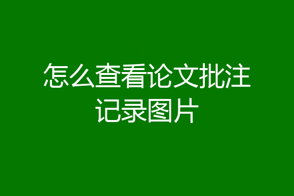 怎么查看论文批注记录图片