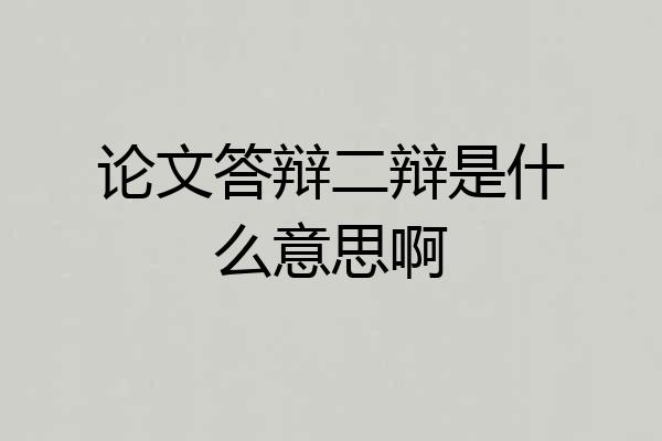论文答辩二辩是什么意思啊