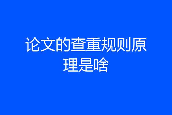 论文的查重规则原理是啥