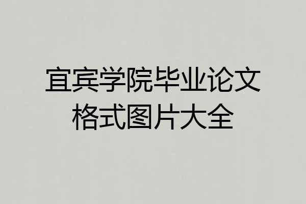 宜宾学院毕业论文格式图片大全