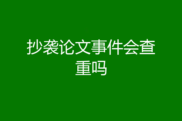 抄袭论文事件会查重吗