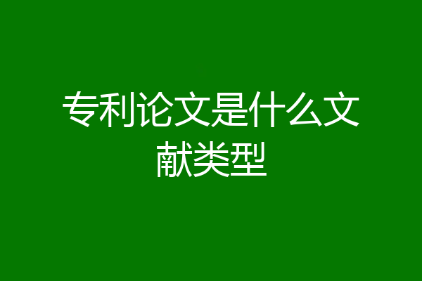 专利论文是什么文献类型