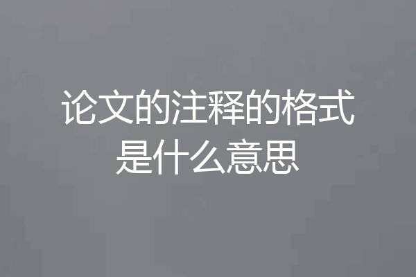 论文的注释的格式是什么意思