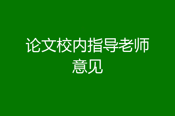 论文校内指导老师意见