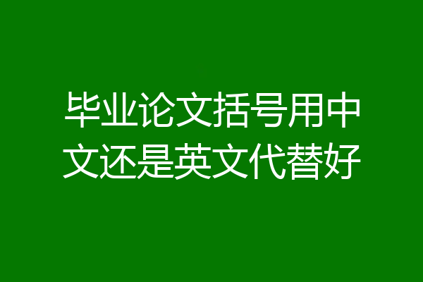 毕业论文括号用中文还是英文代替好