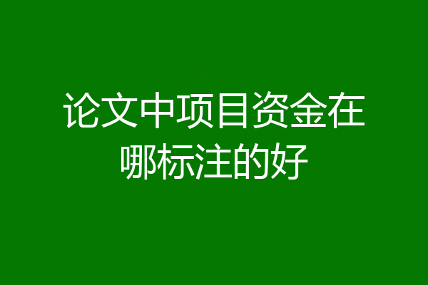 论文中项目资金在哪标注的好