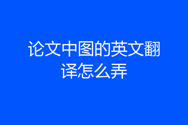 论文中图的英文翻译怎么弄