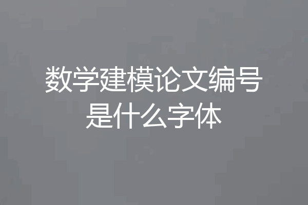 数学建模论文编号是什么字体