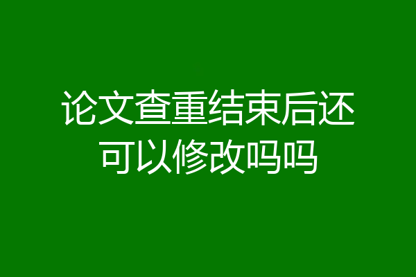 论文查重结束后还可以修改吗吗