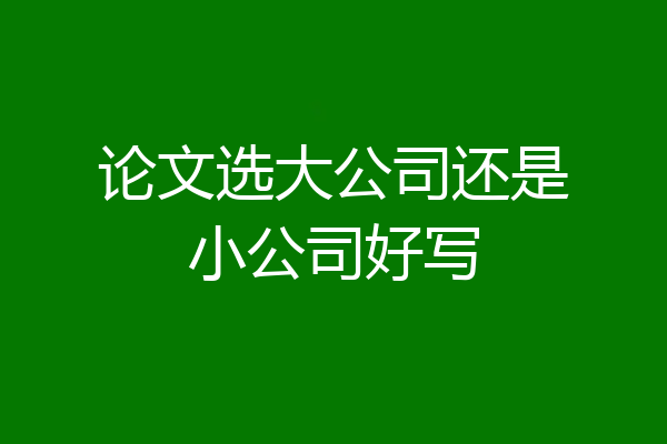 论文选大公司还是小公司好写