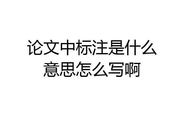 论文中标注是什么意思怎么写啊