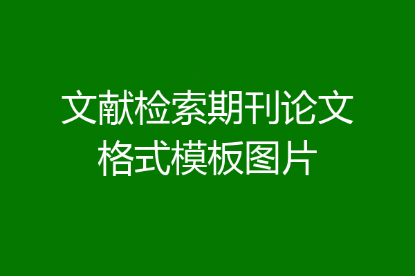 文献检索期刊论文格式模板图片