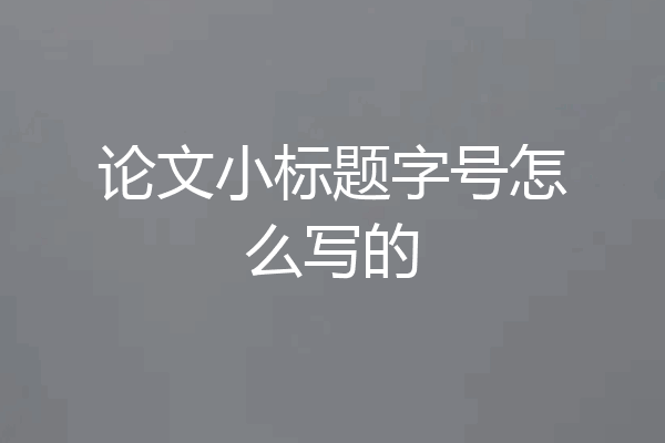 论文小标题字号怎么写的