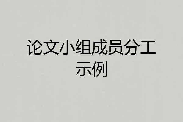 论文小组成员分工示例