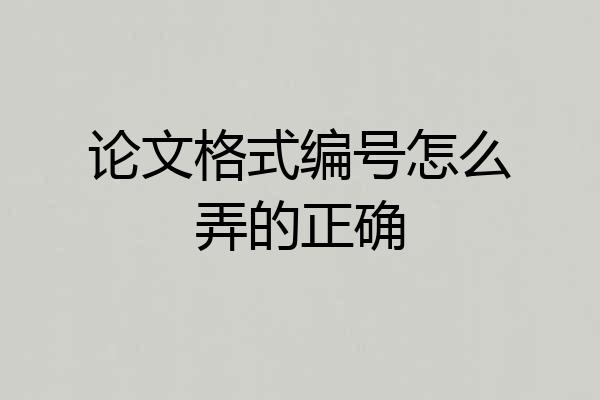 论文格式编号怎么弄的正确
