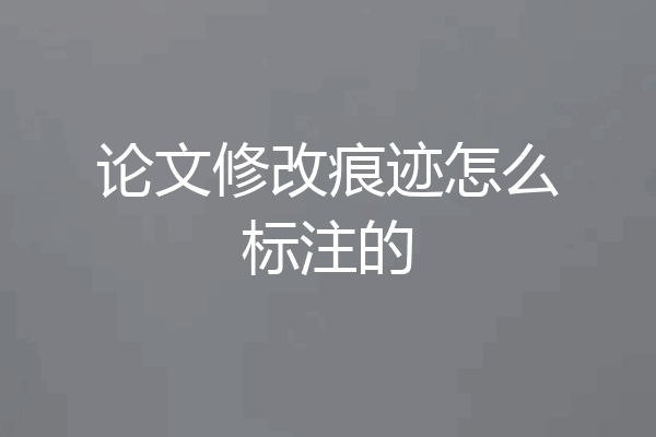 论文修改痕迹怎么标注的