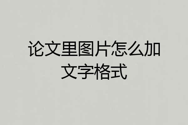 论文里图片怎么加文字格式