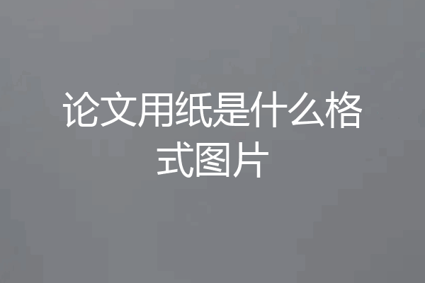 论文用纸是什么格式图片