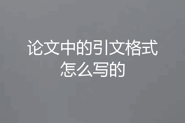 论文中的引文格式怎么写的