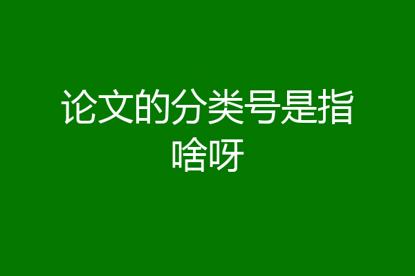 论文的分类号是指啥呀