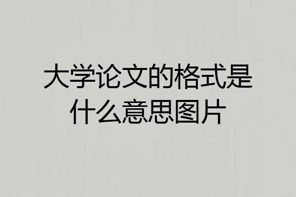 大学论文的格式是什么意思图片