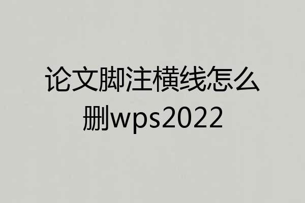 论文脚注横线怎么删wps2022