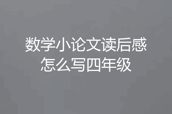 数学小论文读后感怎么写四年级