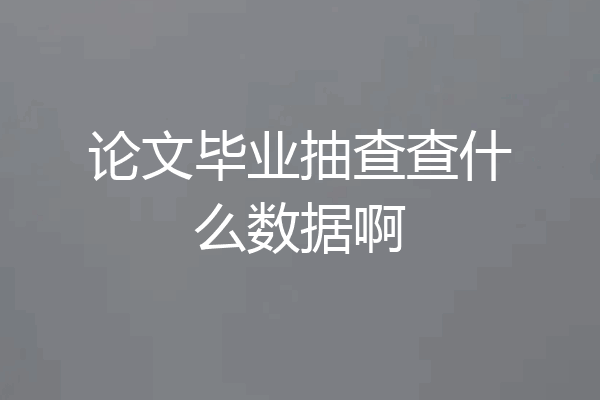 论文毕业抽查查什么数据啊