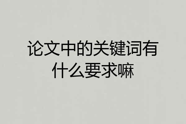 论文中的关键词有什么要求嘛