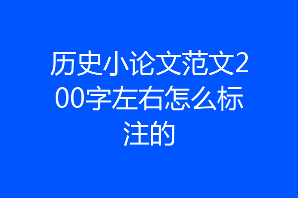 历史小论文范文200字左右怎么标注的