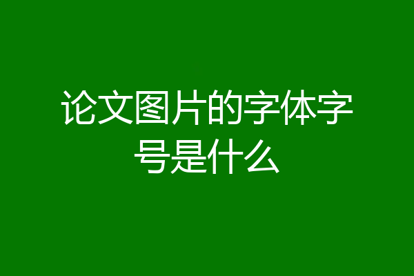论文图片的字体字号是什么