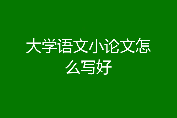 大学语文小论文怎么写好