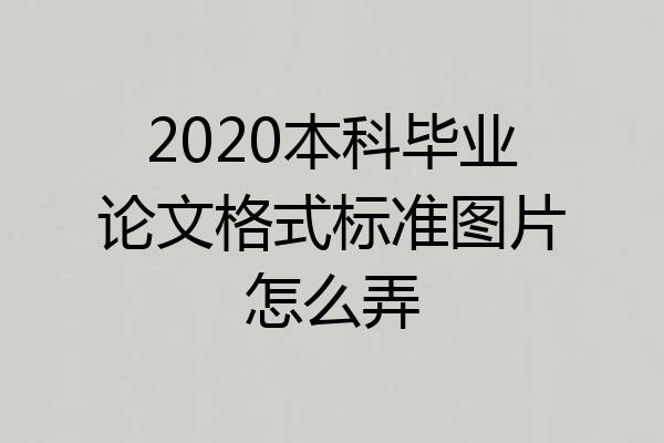 2020本科毕业论文格式标准图片怎么弄