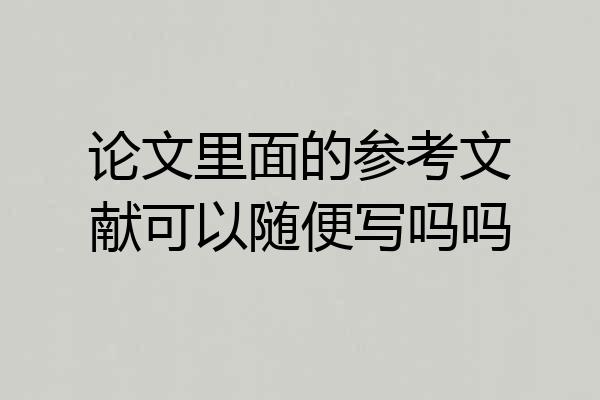 论文里面的参考文献可以随便写吗吗