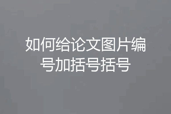 如何给论文图片编号加括号括号