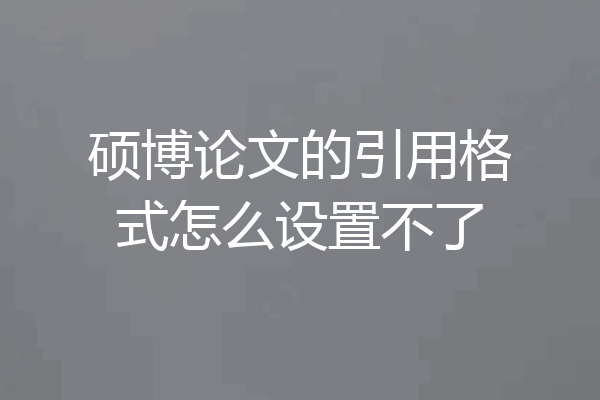 硕博论文的引用格式怎么设置不了