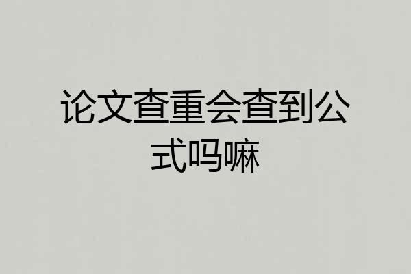 论文查重会查到公式吗嘛