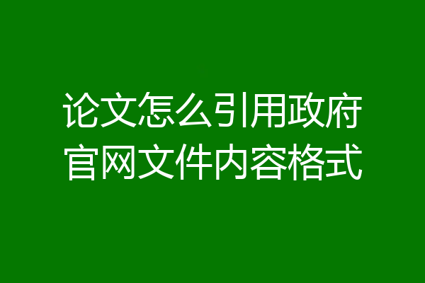 论文怎么引用政府官网文件内容格式