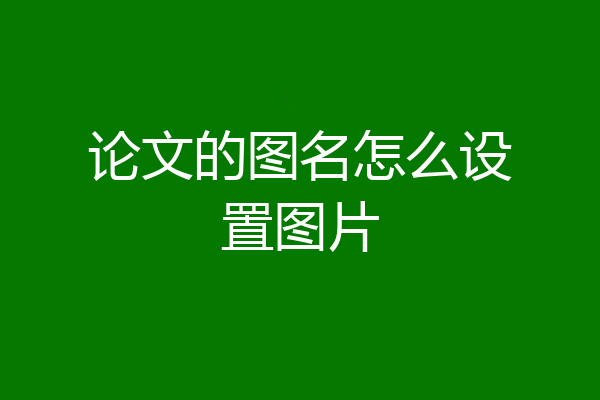 论文的图名怎么设置图片