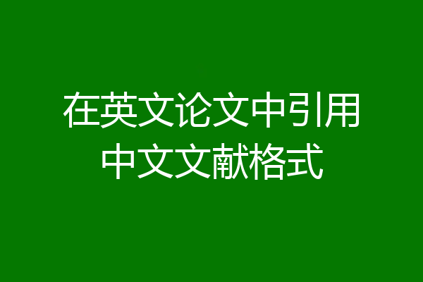 在英文论文中引用中文文献格式