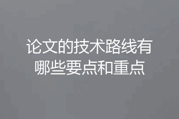 论文的技术路线有哪些要点和重点