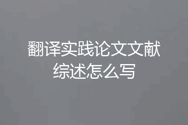 翻译实践论文文献综述怎么写