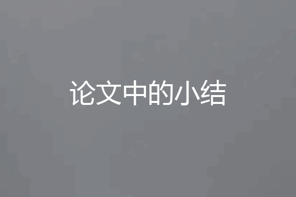 论文中的小结