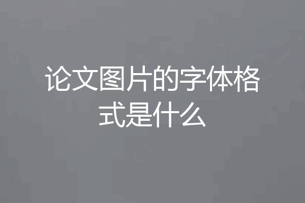 论文图片的字体格式是什么